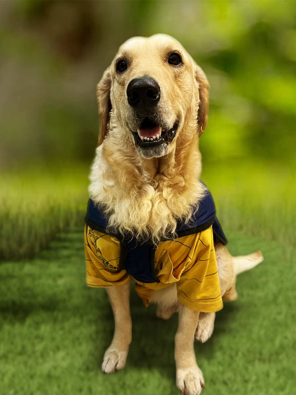 WhatsApp Image 2024-09-20 at 12.35.01 PM 1